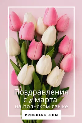 Польский язык для начинающих - OLZ.by - 📚🍓 Ягоды на польском языке -  jagody po polsku 🍒📚 🔸 agrest - крыжовник 🔹 zielone oliwki - зеленые  оливки 🔸 oliwki - маслины 🍇