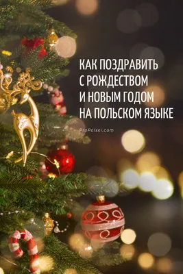 Урок польского языка №18