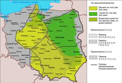 Полония Интересный польский язык - Ореховый рай в польском языке