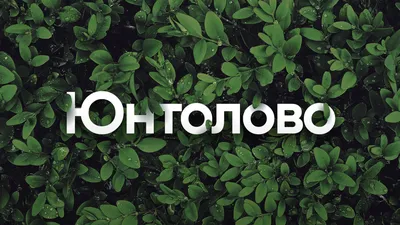Портфолио школьника А4 \"Подросток\" - Элимканц