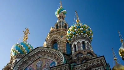 Рождественский пост 2023/24: с какого числа, что можно и нельзя есть | РБК  Life