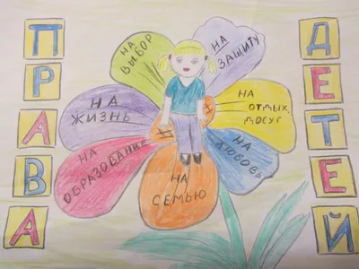Юридическая и судебная практика. Как мы выигрываем дела