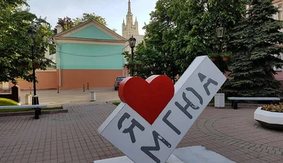 Результаты конкурса по правовому просвещению