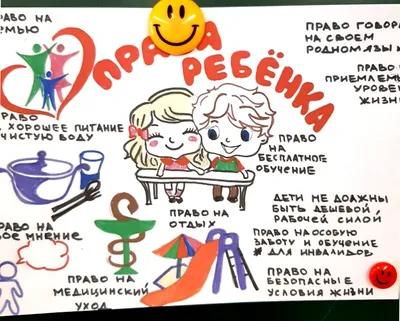 В 2020 году политтехнологи втягивали граждан в деструктивную деятельность  через правовую тематику – Чемоданова