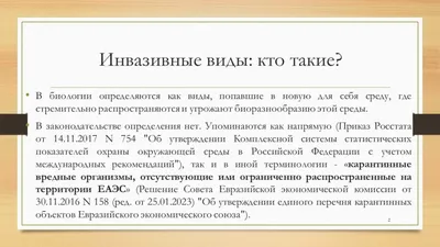 Правовая грамотность молодежи как основа формирование правовой культуры –  тема научной статьи по праву читайте бесплатно текст  научно-исследовательской работы в электронной библиотеке КиберЛенинка