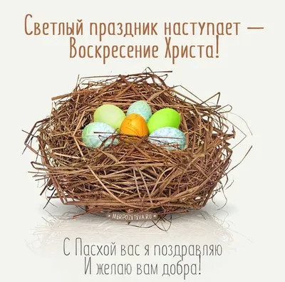 Светлый праздник наступает — Воскресение Христа! С Пасхой вас я поздравляю  И желаю вам добра. | Праздник, Пасха, Подарок на пасху