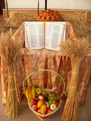 Шавуот — праздник Жатвы - STMEGI