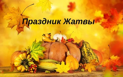 My creative corner: С праздника Жатвы