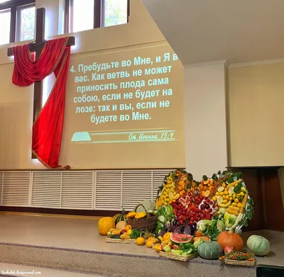 Праздник Жатвы и благословение пастора Александра на новое служение! |  zaokskychurch.ru