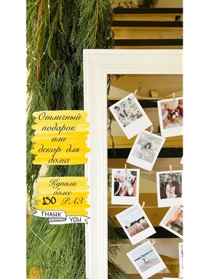 Фоторамки на прищепках, набор 9 шт. 4464725 – купить по цене 264 руб. в  интернет-магазине svetotochki.ru