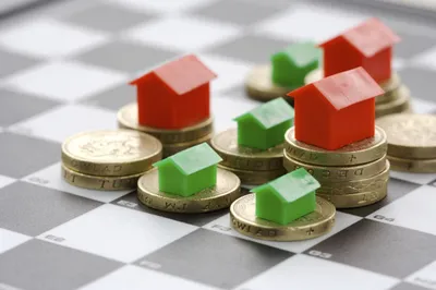 Выращивание цветов на продажу как бизнес