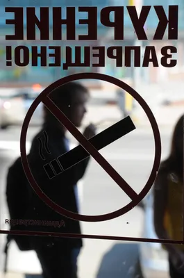 Чумовая семейка: Зомби на продажу (2019, фильм) - «👉Какие услуги Зомби  можно выставить на продажу? Улетная комедия с неожиданным финалом🔝» |  отзывы