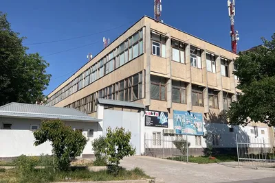 В Белгороде ограничили продажу яиц в одни руки на ярмарках — РБК