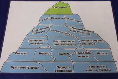 Протестируй психику – тест на психику онлайн