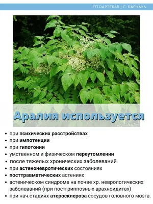 Комплект: Методическое руководство и альбом \"Нейропсихологическая  диагностика высших психических функций детей с 3-х до 18 лет\", Абрамова  А.Ю. - купить в интернет-магазине Игросити