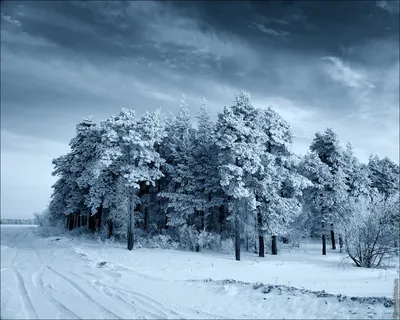 Картинки на рабочий стол 1280 фотографии