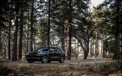 Обои на рабочий стол автомобили Porsche Cayenne S US-spec - 2015