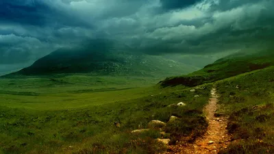 Природа - обои 1366х768 для рабочего стола
