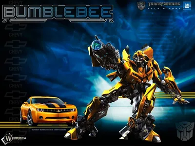 Скачать обои Bumblebee () для рабочего стола 1400х1050 (4:3) бесплатно,  Картинки Bumblebee на рабочий стол. | WPAPERS.RU (Wallpapers).