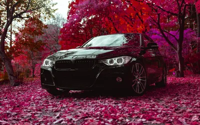 Картинки bmw, f30, 335i - обои 1680x1050, картинка №382529
