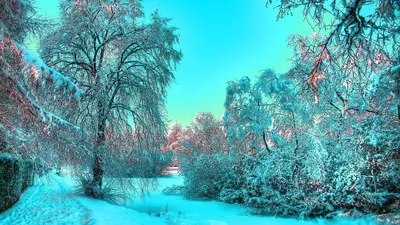 Цветные обои на рабочий стол » Прикольные картинки: скачать бесплатно на рабочий  стол