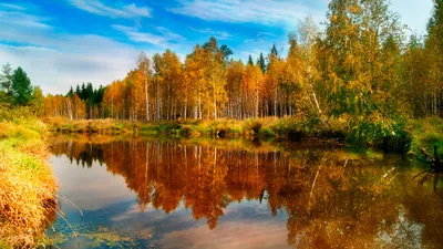 Обои Осень Рисованное -(Живопись), обои для рабочего стола, фотографии осень,  рисованные, живопись, лужа, листья, картина Обои для рабочего стола,  скачать обои картинки заставки на рабочий стол.