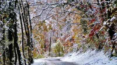 Autumn Park