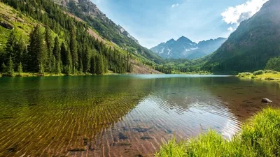 Лес обои для рабочего стола 4K Ultra HD
