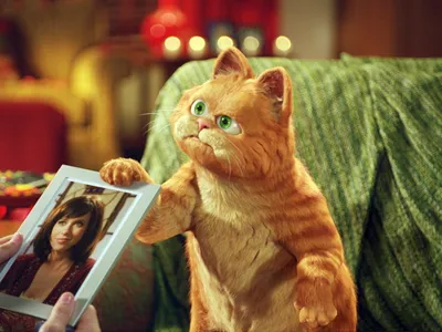 Garfield » Мультфильмы » Обои для рабочего стола