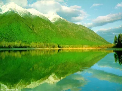 Web Search :: Top Images: Обои Для Рабочего Стола Весна