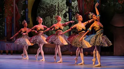 Обои girl, ballet danser на рабочий стол