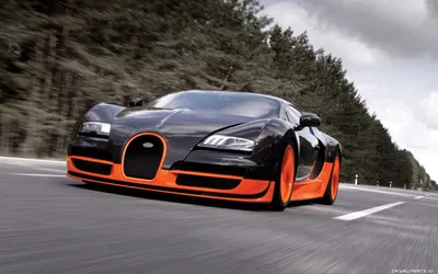 Обои auto, bugatti veyron на рабочий стол
