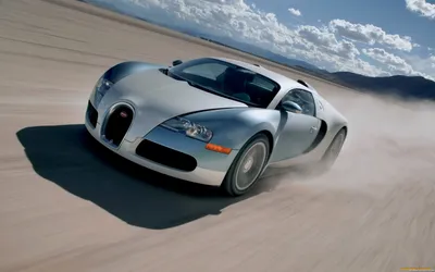 Download wallpaper Bugatti, Veyron, Black, White, Zebra, section bugatti in  resolution 1024x1024
