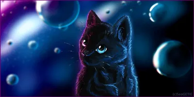 Скачать обои Животные Chrissie Snelling, черный кот, зимнее утро на рабочий  стол 1152x864