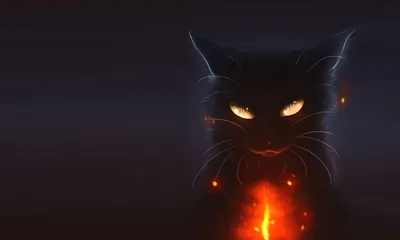 Скачать обои Животные Paul Knight, чёрный кот на рабочий стол 1280x1024