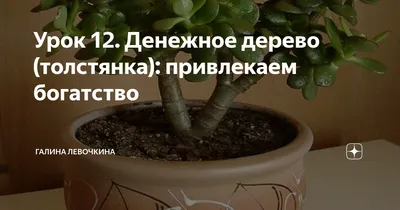 Денежное дерево рисунок - 64 фото