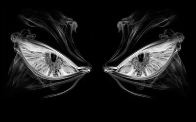 девушка - Black ART - Обои на рабочий стол - web.A.net