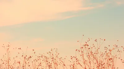 обои на рабочий стол | Cute laptop wallpaper, Minimalist desktop wallpaper,  Cute desktop wallpaper