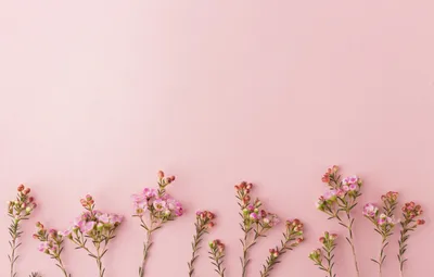 wallpaper 21. | Хорошие фильмы, Мотивация, Черно-белое