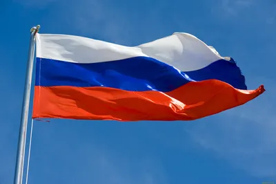 Обои для рабочего стола Internal forces Russia Герб Флаг