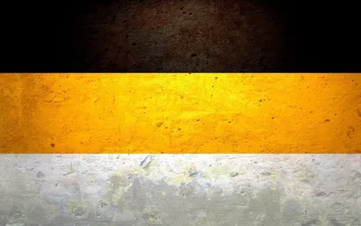Обои медведь, символика, флаг, россия, война, бойцы, достопримечательности  картинки на рабочий стол, фото скачать бесплатно