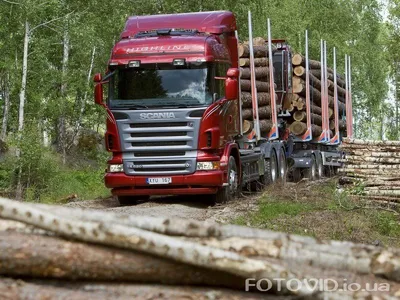 Купить даф икс эф 105 евро 5 в Минске | Тягач daf xf 105 euro 5 грузовой  автомобиль, грузовая машина, фура, грузовик