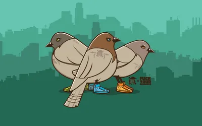 Обои на рабочий стол Голуби в цветастых модных кроссовках (fuck your  sneakers, death from above), обои для рабочего стола, скачать обои, обои  бесплатно