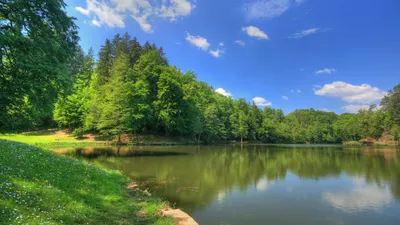 Обои Природа Горы, обои для рабочего стола, фотографии природа, горы,  фудзияма, осень Обои для рабочего стола, скачать обои картинки заставки на рабочий  стол.
