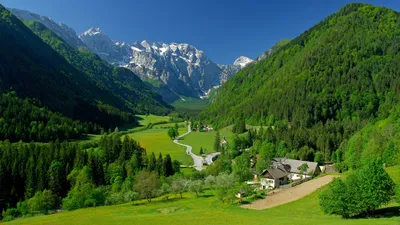 ТЕПЛЫЙ ЗАКАТ В ЛЕСУ - FULL HD ОБОИ ДЛЯ РАБОЧЕГО СТОЛА 1920x1080 | Пикабу