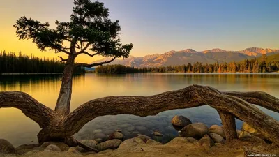 Обои Природа Реки/Озера, обои для рабочего стола, фотографии природа, реки,  озера, деревья, отражение, озеро, горы, небо Обои для рабочего стола,  скачать обои картинки заставки на рабочий стол.