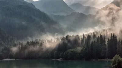 Обои Природа Побережье, обои для рабочего стола, фотографии природа,  побережье, дерево, скалы, камни, озеро, горы, закат, облака, небо Обои для рабочего  стола, скачать обои картинки заставки на рабочий стол.