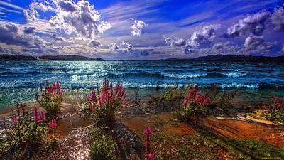 Обои природа, леса, река, раздел Природа, размер 1920х1080 full HD -  скачать бесплатно картинку на рабочий стол и телефон