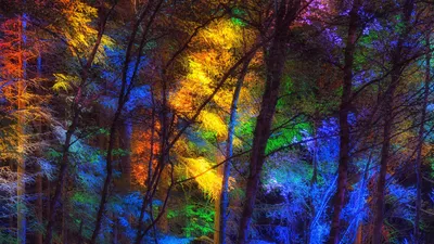 Обои Природа Побережье, обои для рабочего стола, фотографии природа,  побережье, облака, цветы, волны Обои для рабочего стола, скачать обои  картинки заставки на рабочий стол.