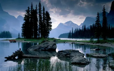Обои Природа Тропики, обои для рабочего стола, фотографии природа, тропики,  пляж Обои для рабочего стола, скачать обои картинки заставки на рабочий стол .